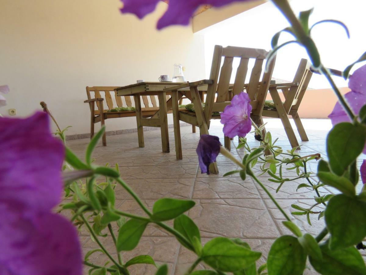 Guesthouse Dila Galovac  Zewnętrze zdjęcie